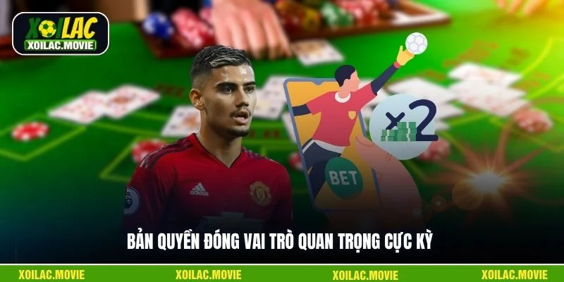 Bản quyền đóng vai trò quan trọng cực kỳ