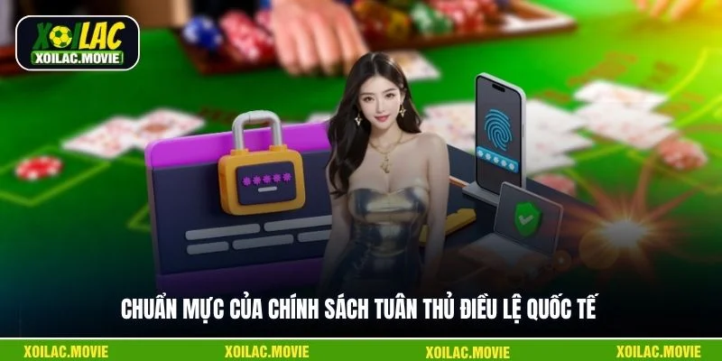 Chuẩn mực của chính sách tuân thủ điều lệ quốc tế