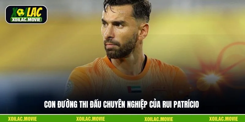 Con đường thi đấu chuyên nghiệp của Rui Patrício