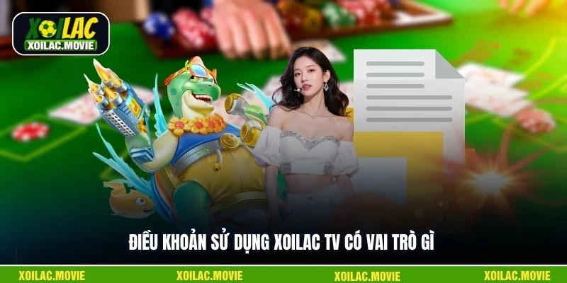Điều khoản sử dụng Xoilac TV có vai trò gì