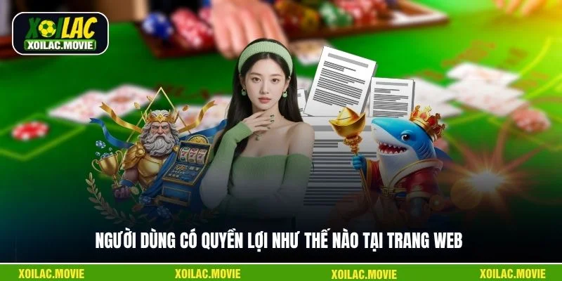 Người dùng có quyền lợi như thế nào tại trang web